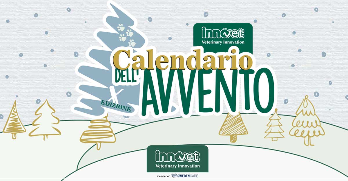 Innovet Calendario dell'Avvento 2023: apri le caselle per donare