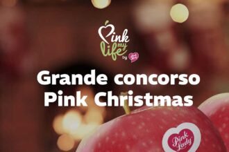 concorso Pink lady "Pink Christmas