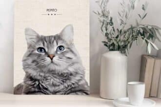 Concorso Gourmet vinci ritratto personalizzato gatto