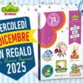 Agenda 2025 Gustour Conad