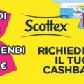 Scottex cashback