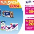 Vinci la tua spesa 2024