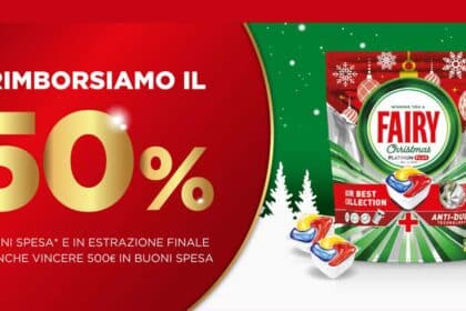 Concorso Fairy Natale