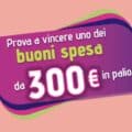 Concorso Essity 2025