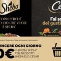 Concorso Cesar&Sheba 2025