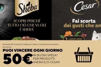 Concorso Cesar&Sheba 2025