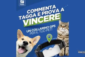 Concorso Hill's Pet: vinci collarino GPS