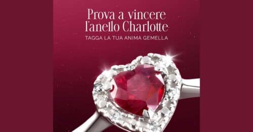 Concorso Stroili "Anima Gemella"