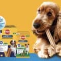 Concorso Dentastix 2025 "Mese dell'igiene orale"