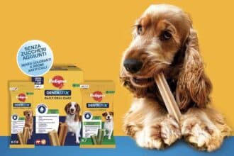 Concorso Dentastix 2025 "Mese dell'igiene orale"