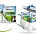 Concorso Purina Dentalife 2025