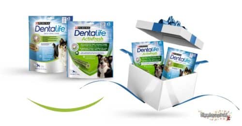 Concorso Purina Dentalife 2025