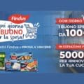 Concorso Findus "Ogni giorno è buono per la spesa!"